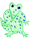 Alligator